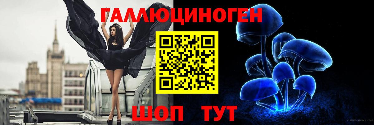 Псилоцибиновые грибы Magic Shrooms Грозный